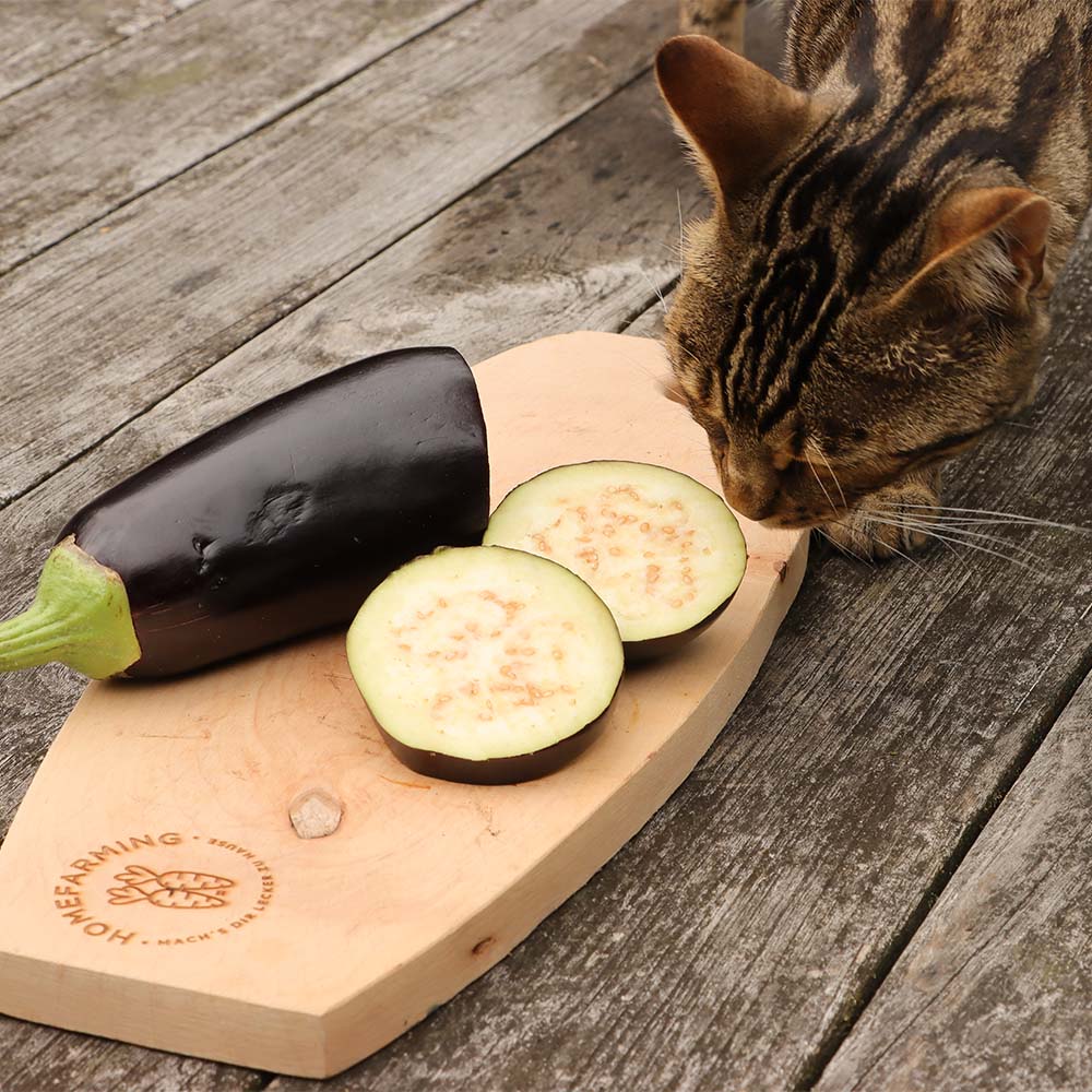 Aubergine Homefarming