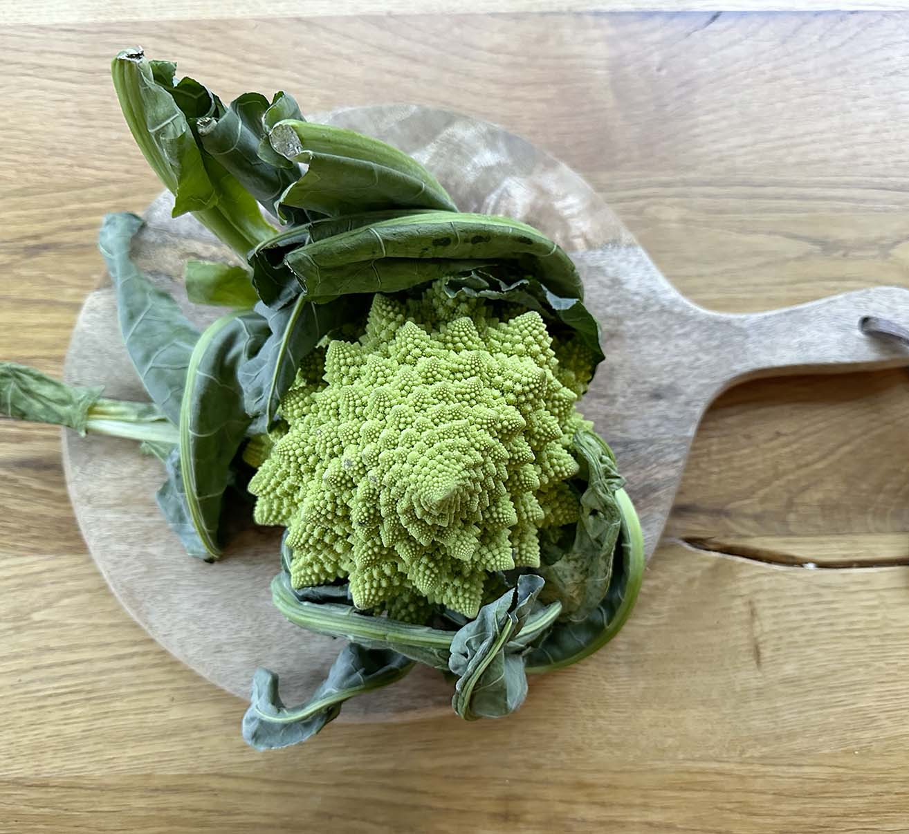 Romanesco | Homefarming