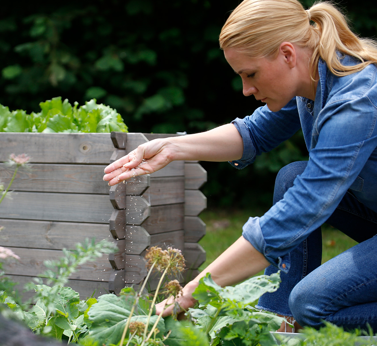 Das richtige Düngen Homefarming