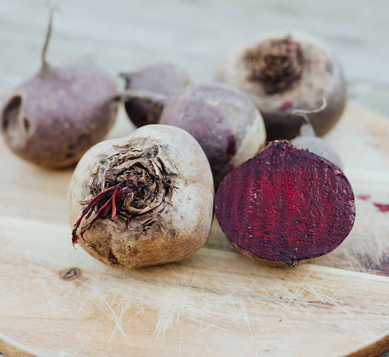 Rote Bete | Homefarming Rote Bete | Homefarming