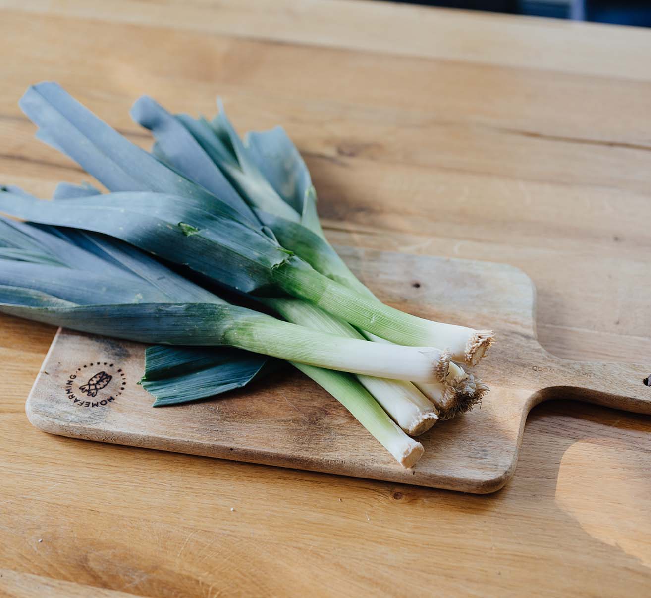 Lauch und Porree | Homefarming