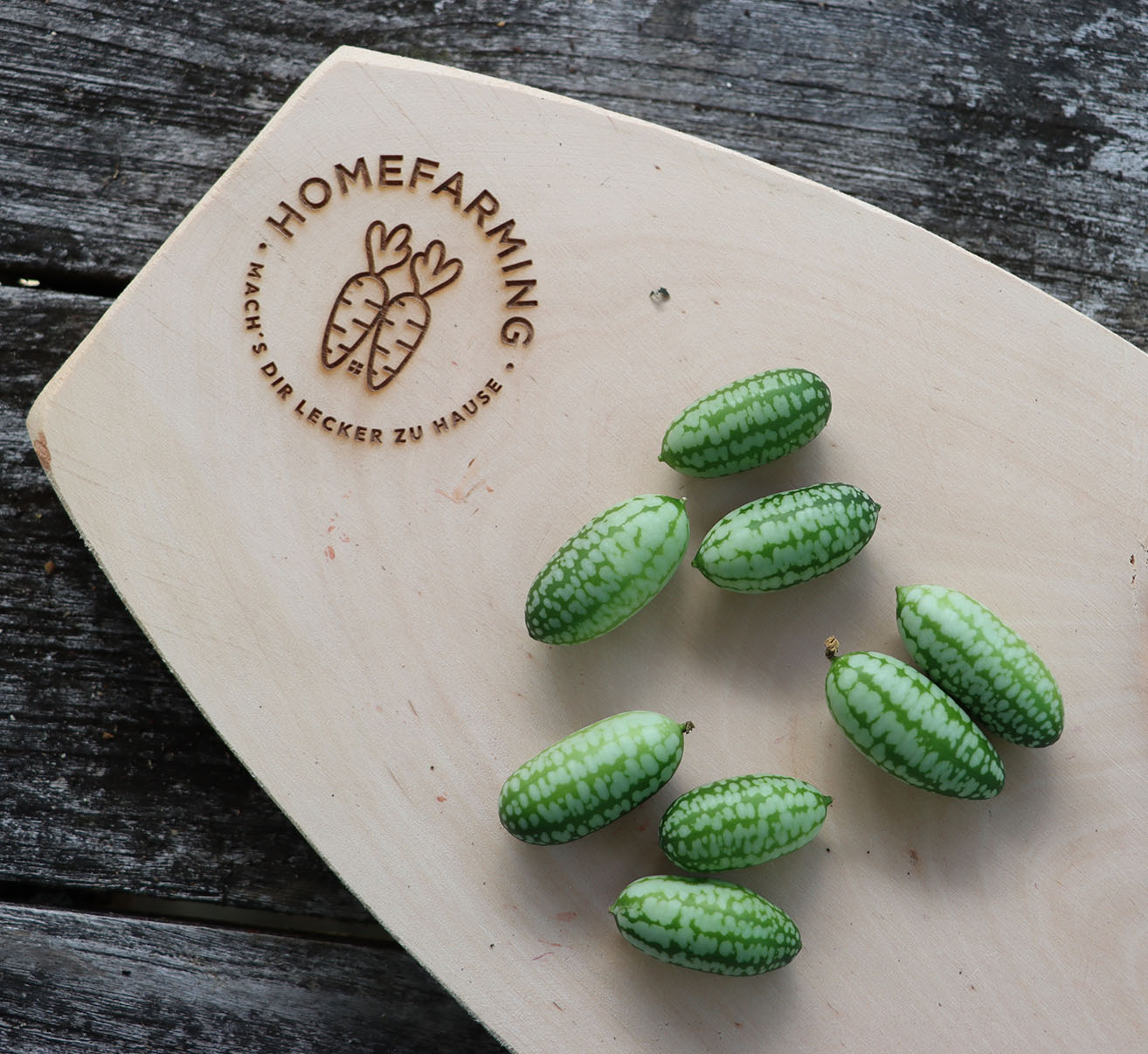 Mexikanische Minigurke | Homefarming
