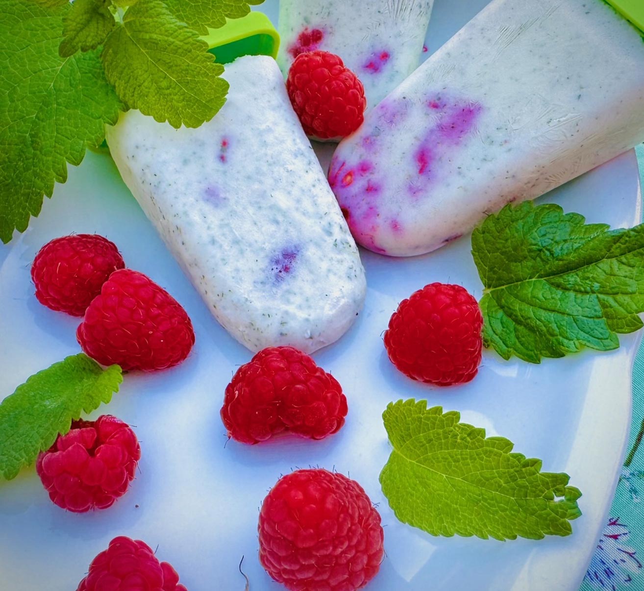 Zitonenmelisse-Eis am Stiel | Homefarming